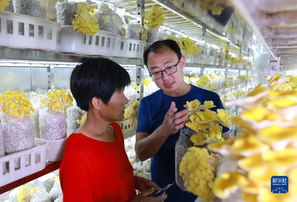 注册开户送体验金